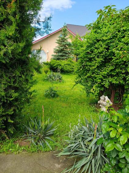 Casă cu Teren 1000 Mp în Mircea Vodă