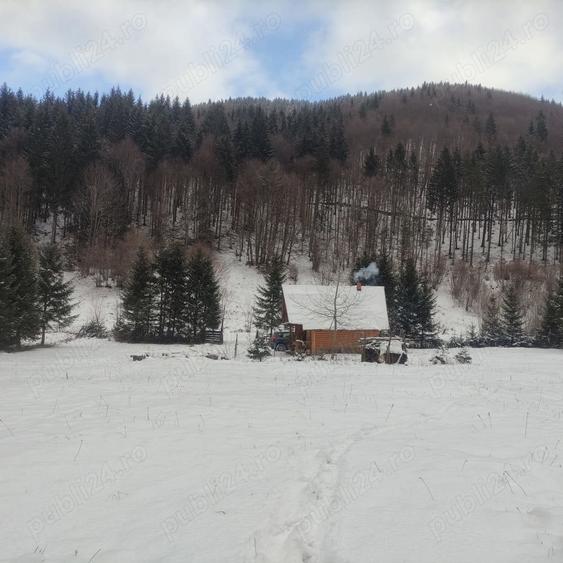 Teren de 9172 mp, în Pintic