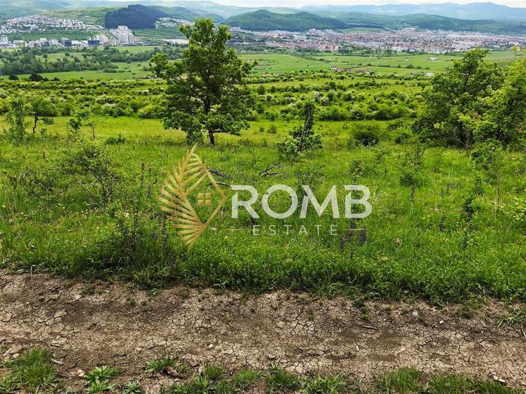 Teren Construcții extravilan de 2900 mp, în Florești