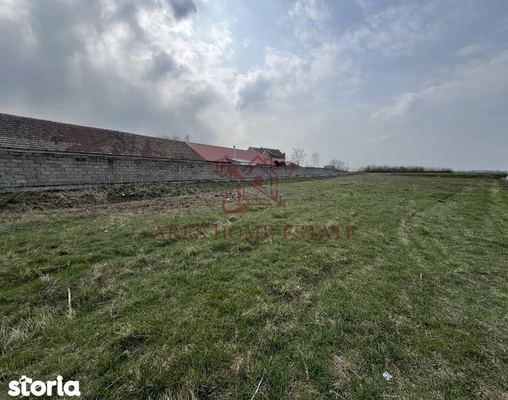Teren intravilan pentru blocuri la asfalt | Bucovat - 5
