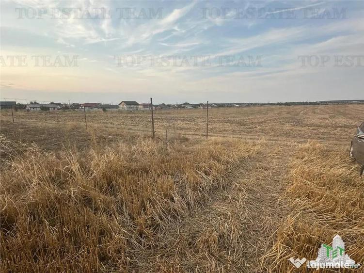 Teren de 2500 mp, în Bălăceanca