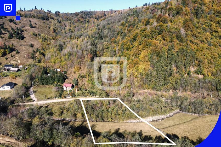 Teren Construcții extravilan de 5000 mp, în Vama