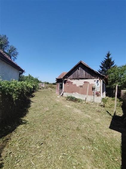 Teren Construcții intravilan de 2500 mp, în Paleu