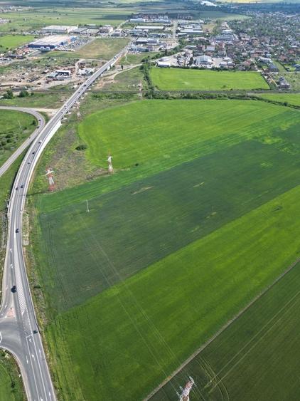 Teren agricol extravilan de 28089 mp, în Nord