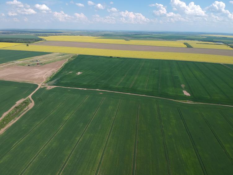 Teren Construcții intravilan de 4750 mp, în Frumușani
