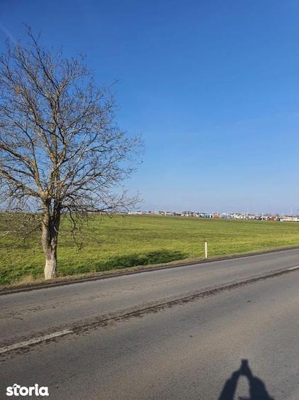 Teren de 25000 mp, în Agigea