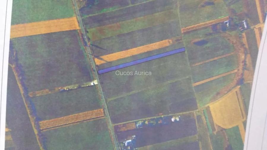 Vanzare teren intravilan 5400 mp iesire directa DN15B