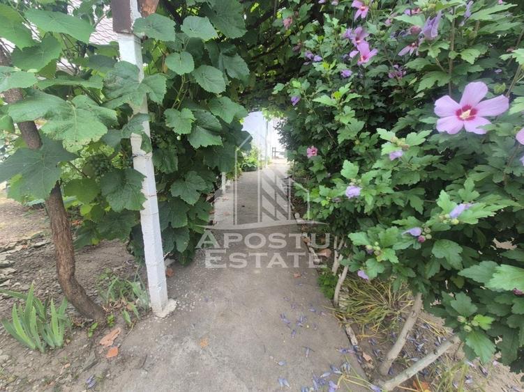 Casă individuală cu 3 camere cu Canalizare în Teremia Mare