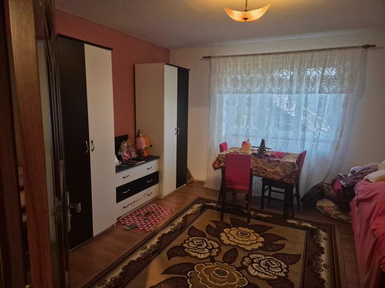 Casa de vanzare in localitatea Pagaia, Bihor - 7