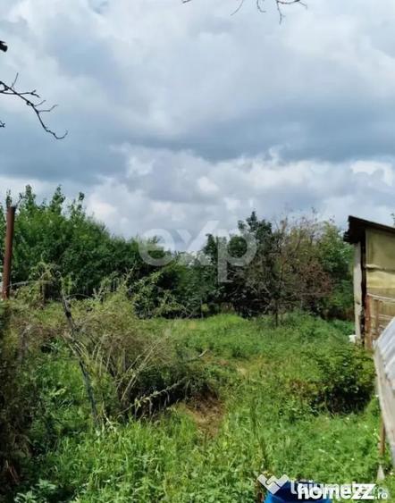Casă cu 4 camere cu Teren 1600 Mp în Mircea Vodă