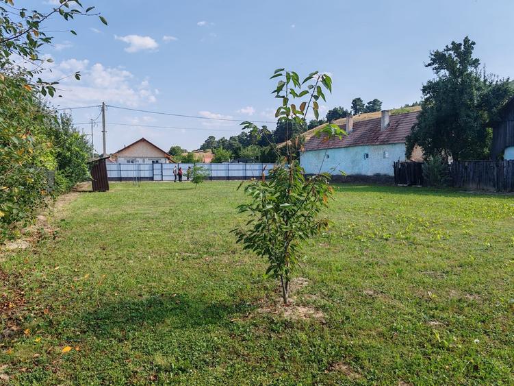 Teren Construcții intravilan de 1000 mp, în Dobârlău