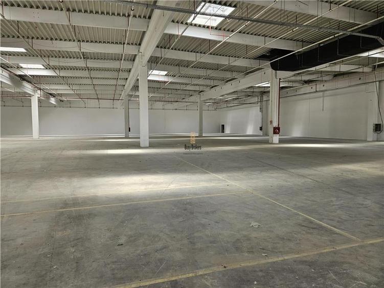 Spatiu Industrial - 3000 mp - Logistica - Productie - Depozitare - Distributie - 5