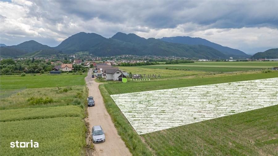 Teren de 400 mp, în Central