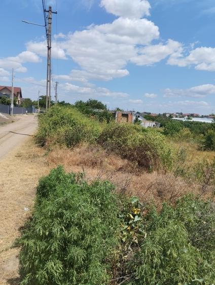 Teren Construcții intravilan de 3900 mp, în Costi