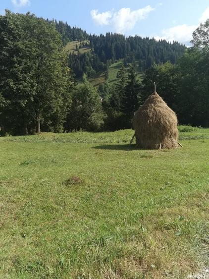 Teren de 1780 mp, în Central