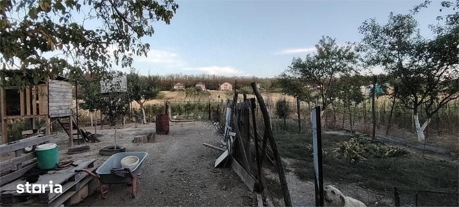 Casă cu 5 camere cu Teren 3000 Mp în Oșorhei
