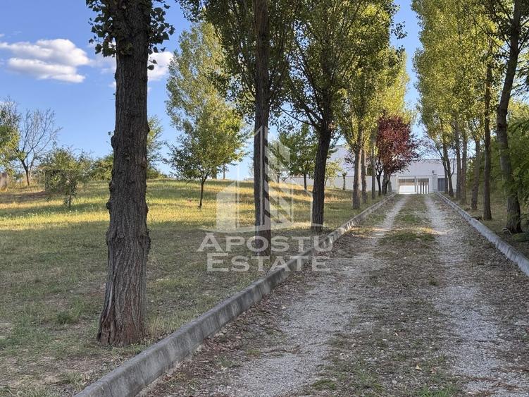 Casa cu piscina, 450mp utili, Pensiune - Casa de seniori, Hunedoara - 19