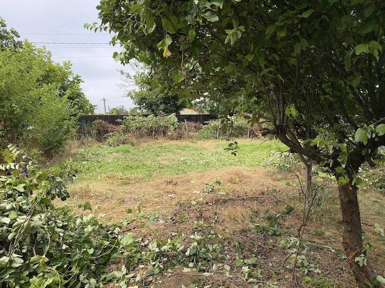 Casă cu Teren 1050 Mp în Pecineaga