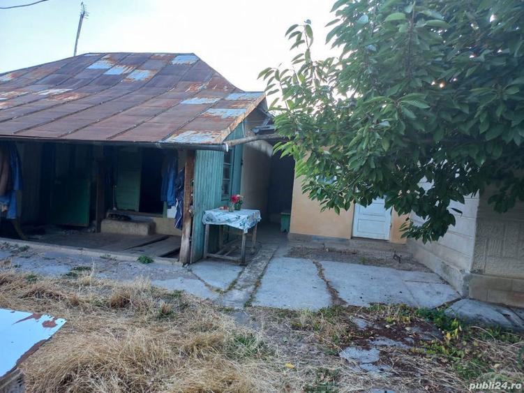 Vand casa de locuit si teren agricol si livada - 8