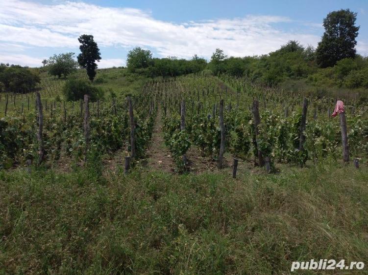 Casă cu 6 camere în Priseaca