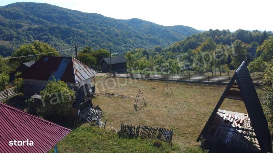 Casă cu 2 camere în Bradu
