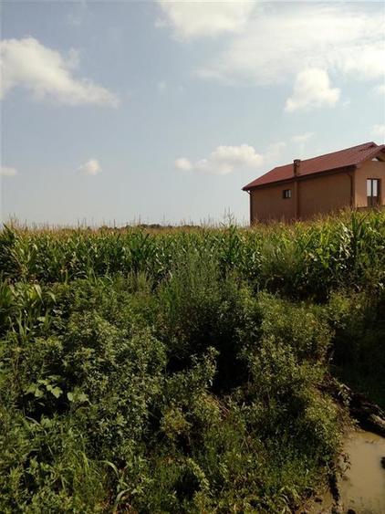 Teren, Zapodia,Traian Bacau - 3