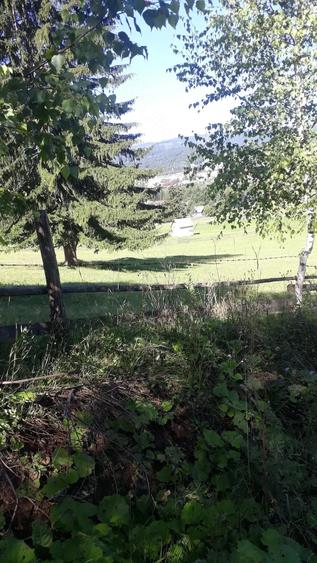 Teren de 22500 mp, în Neagra