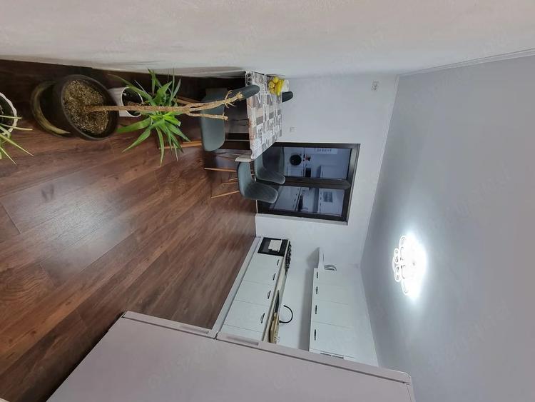 Inchiriere apartament 2 camere Snagov - 6
