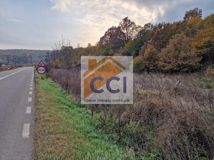 Teren agricol extravilan de 1717 mp, în Mărgineni
