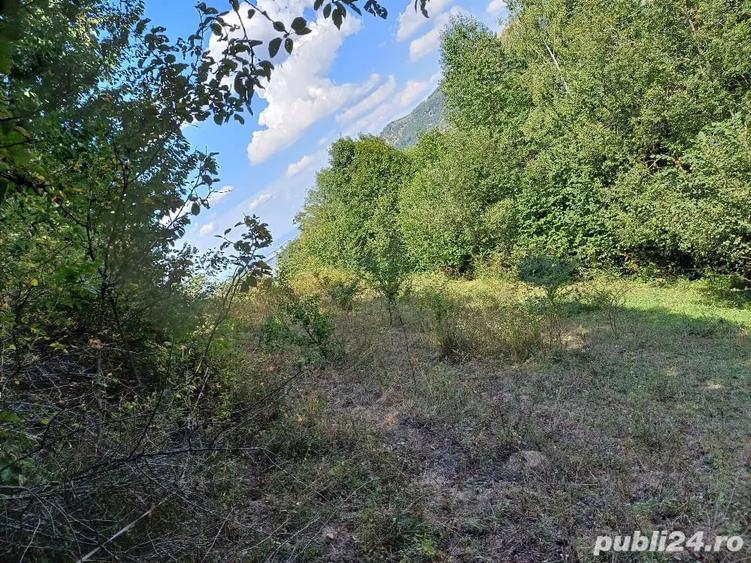 Teren de 3000 mp, în Măguri