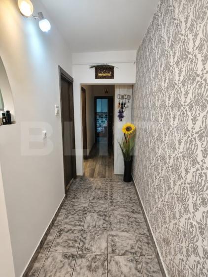 Apartament cu 2 camere, decomandat, Nufarul - 3