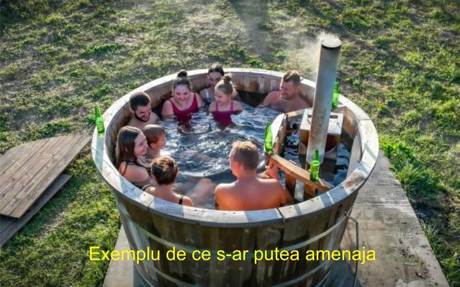 Spațiu comercial, în Pârcovaci