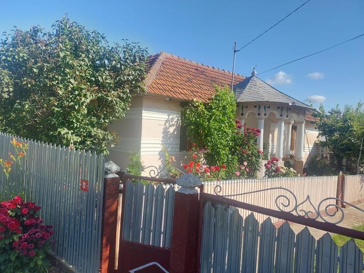 Casă cu 4 camere în Albița