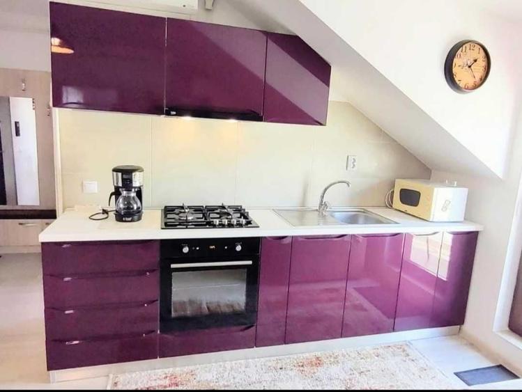 Apartament cu 2 camere decomandat în Frumoasa