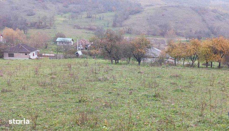 Teren de 7800 mp, în Țaga
