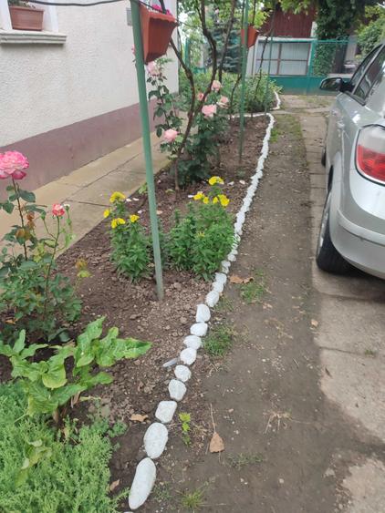 Casă cu 3 camere în Poclușa de Barcău