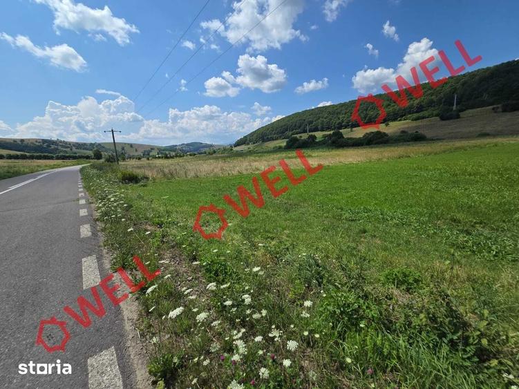 Teren de 3450 mp, în Valea Mare