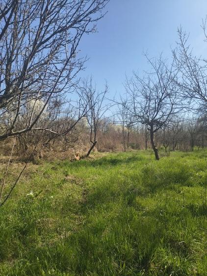 Casă cu 4 camere în Albota