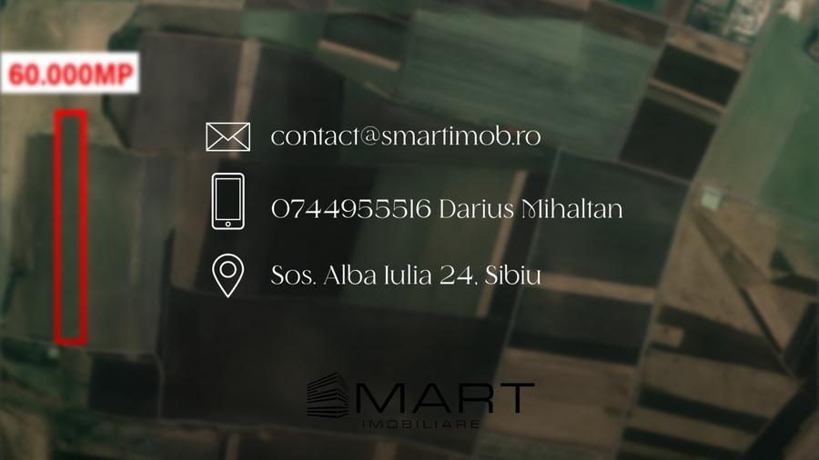 Teren de 60000 mp, în Șura Mică