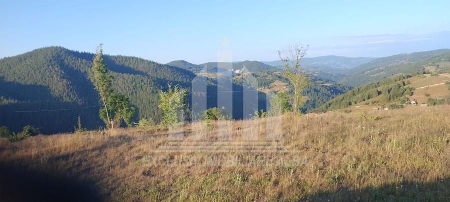 Teren agricol intravilan de 3565 mp, în Gârda de Sus