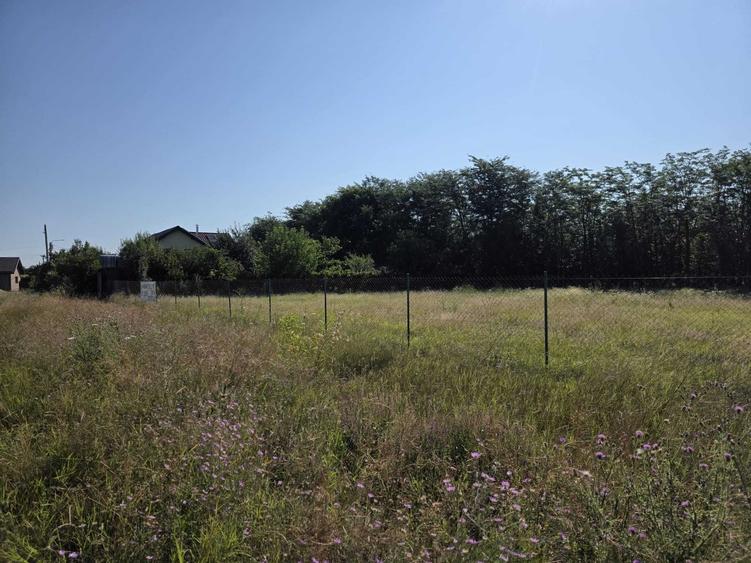 Teren de 3641 mp, în Băjani