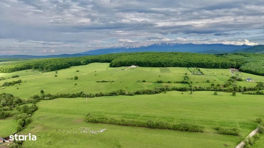 Teren de 2000 mp, în Sadu