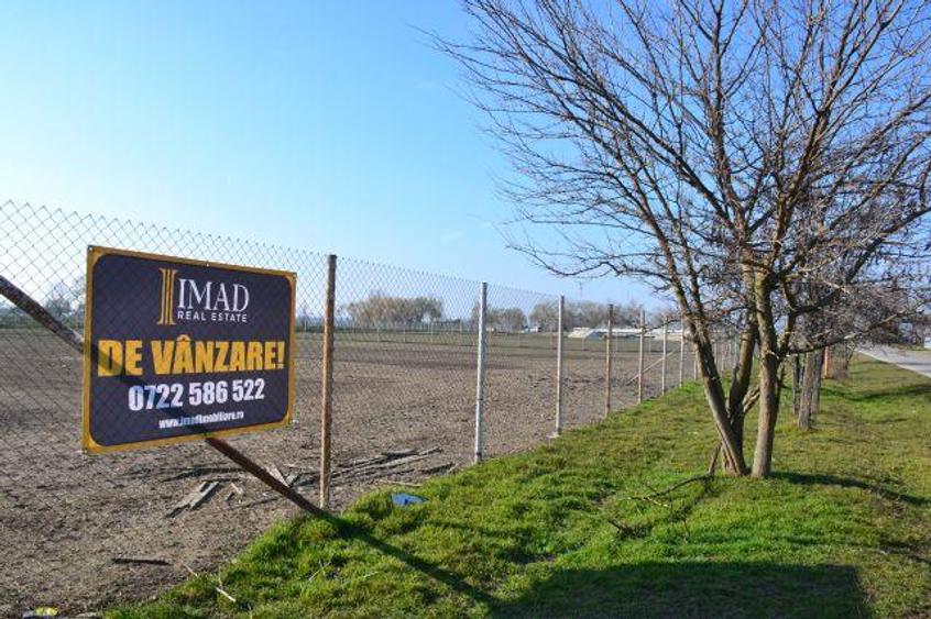 Teren intravilan de 5600 mp, în Mircea Vodă
