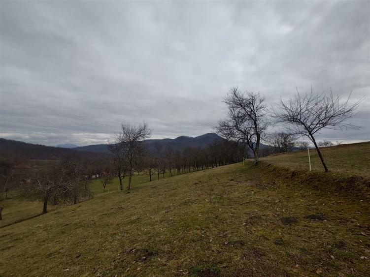 Teren intravilan de 11423 mp, în Luncoiu de Jos