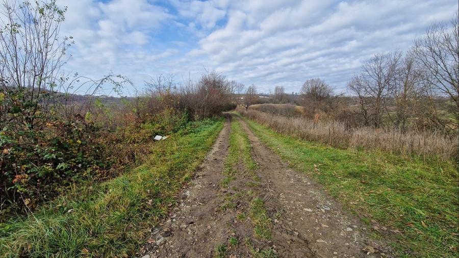 Teren Construcții intravilan de 5578 mp, în Groși