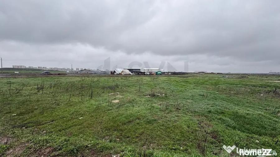 Teren intravilan 1900mp Tunari I Dubla deschidere I - Tunari (Bucuresti-Ilfov) - 4