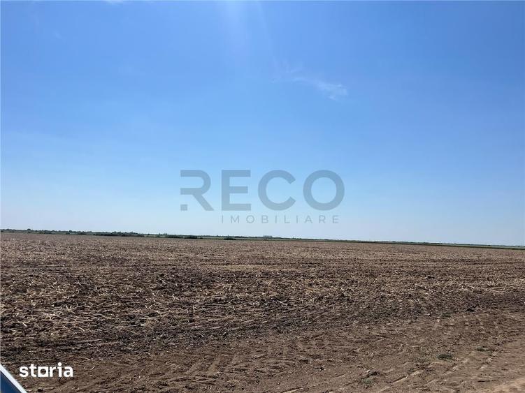 Teren de 18100 mp, în Tulca