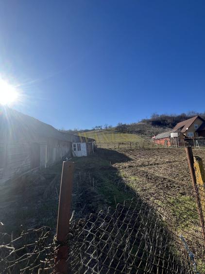 Teren Construcții intravilan de 5300 mp, în Centura