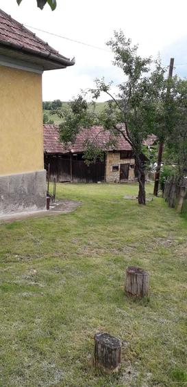 Casă cu 2 camere în Mociu