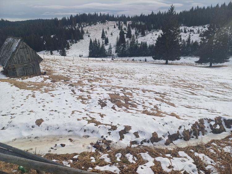 Teren agricol intravilan de 10900 mp, în Măguri-Răcătău